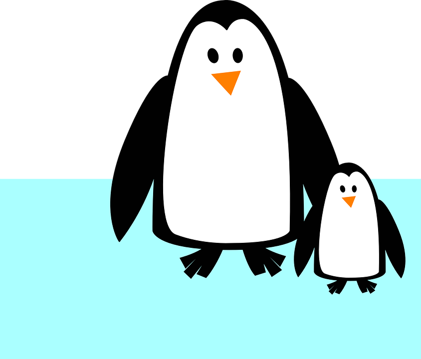 penguins clipart sunglasses