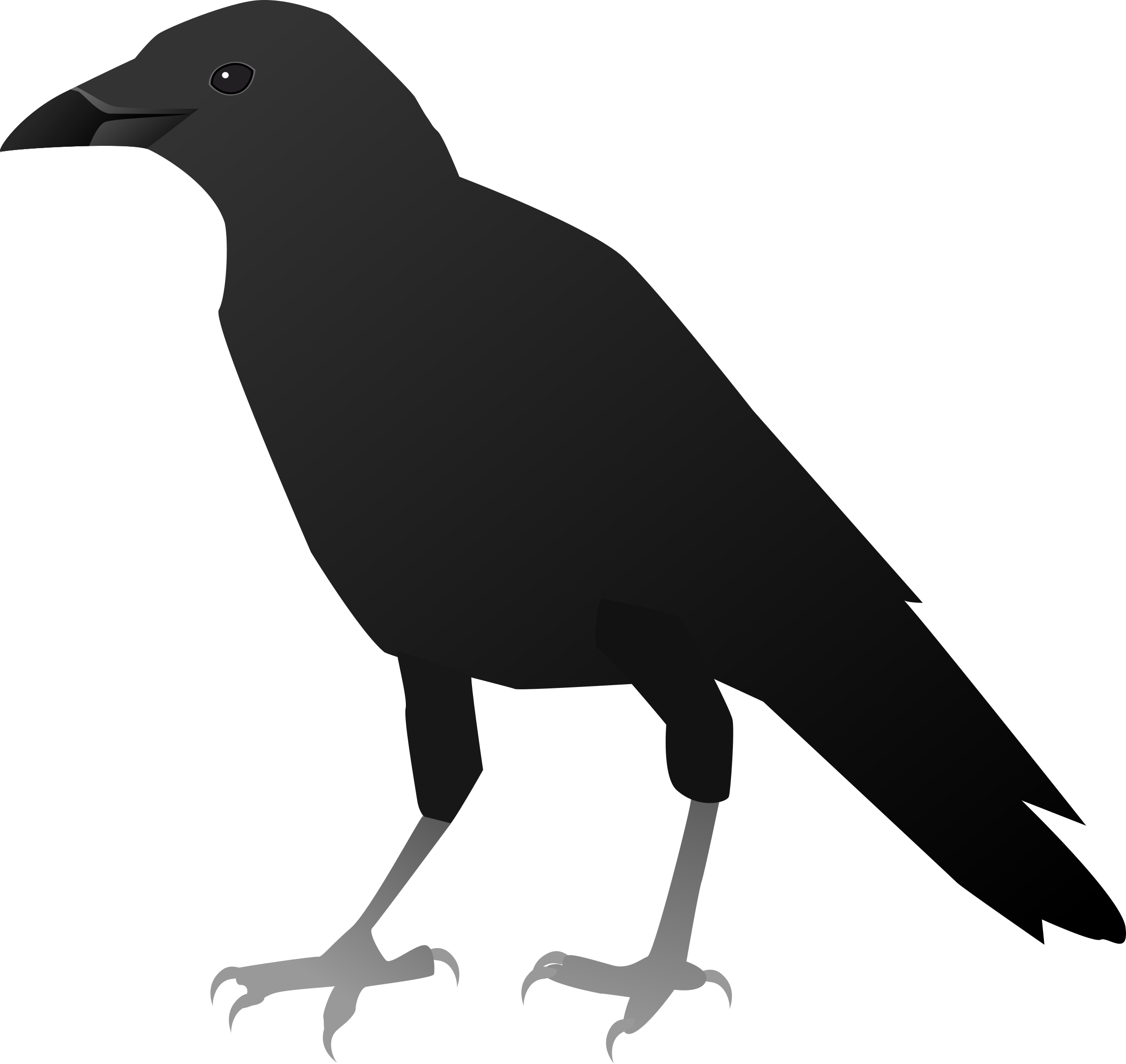. Feathers clipart crow