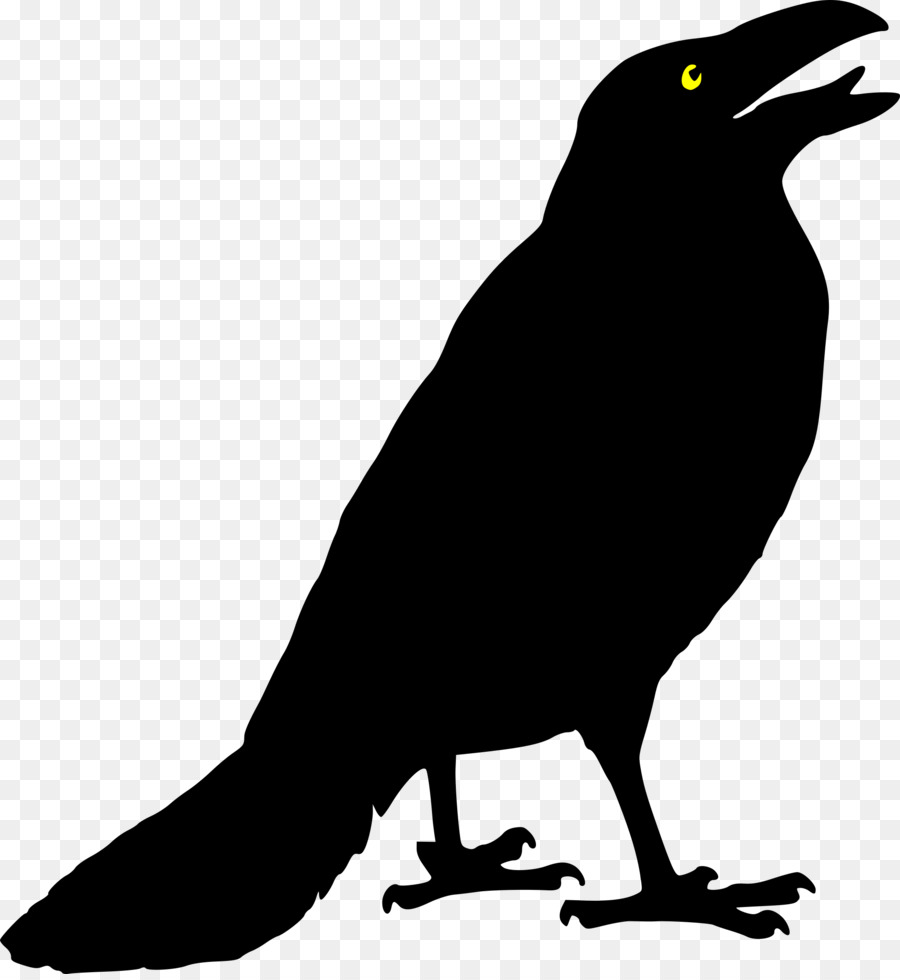 Bird silhouette wing . Crow clipart crow beak