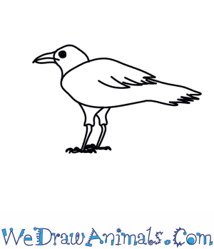 crow clipart easy draw