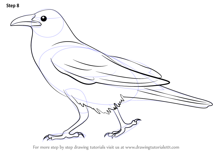 crow clipart easy draw