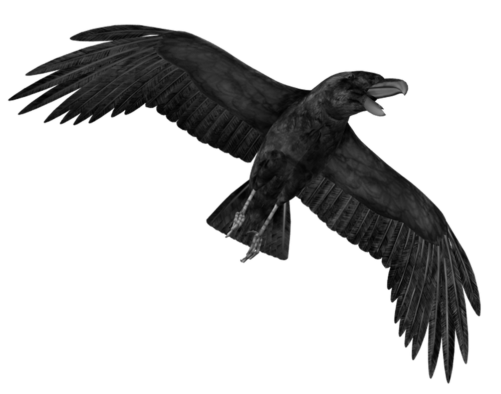Crow clipart gothic. Hd png transparent images
