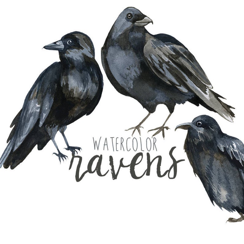 Crow clipart gothic. Watercolor raven clip art