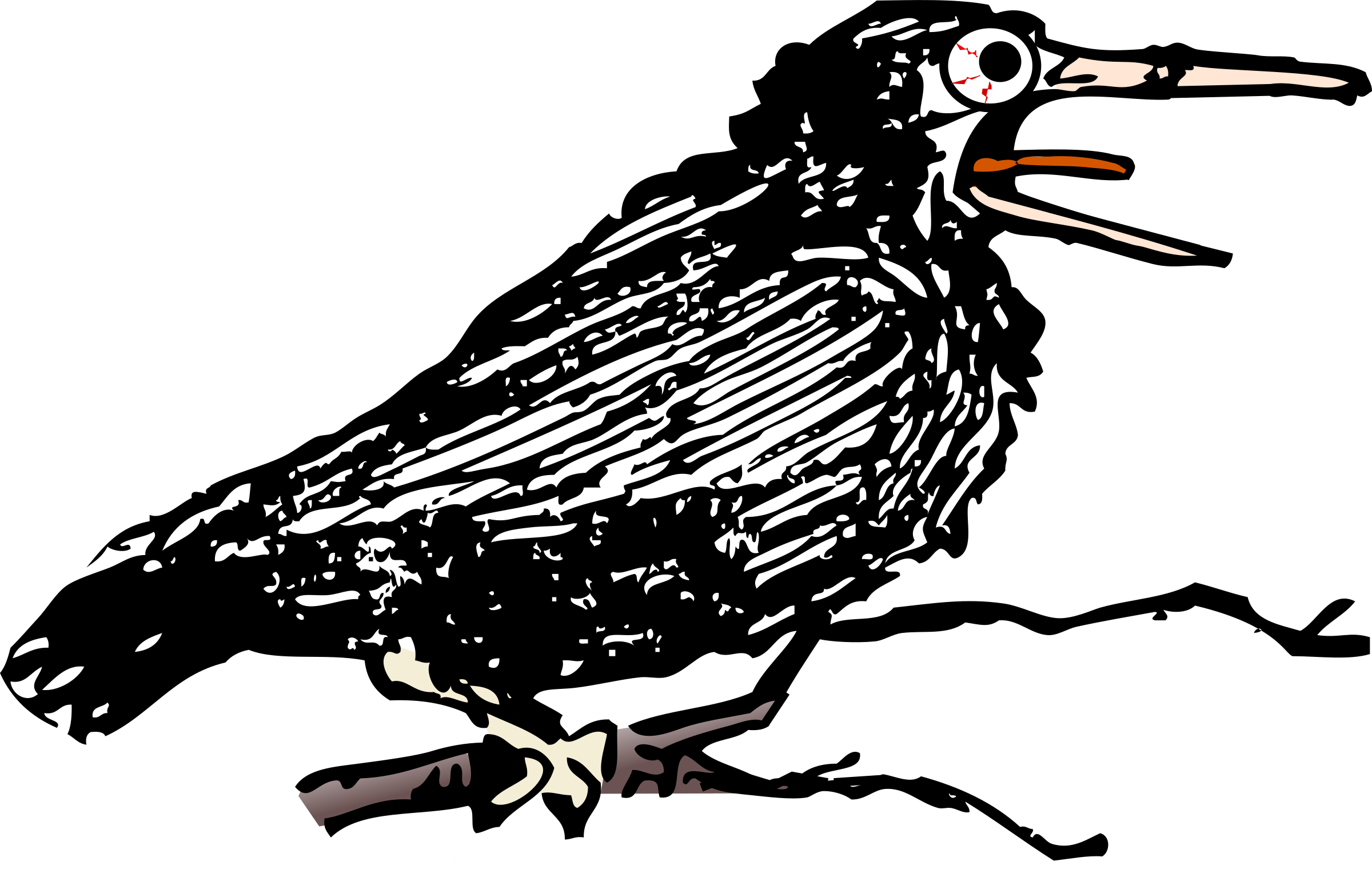 crow clipart illustration