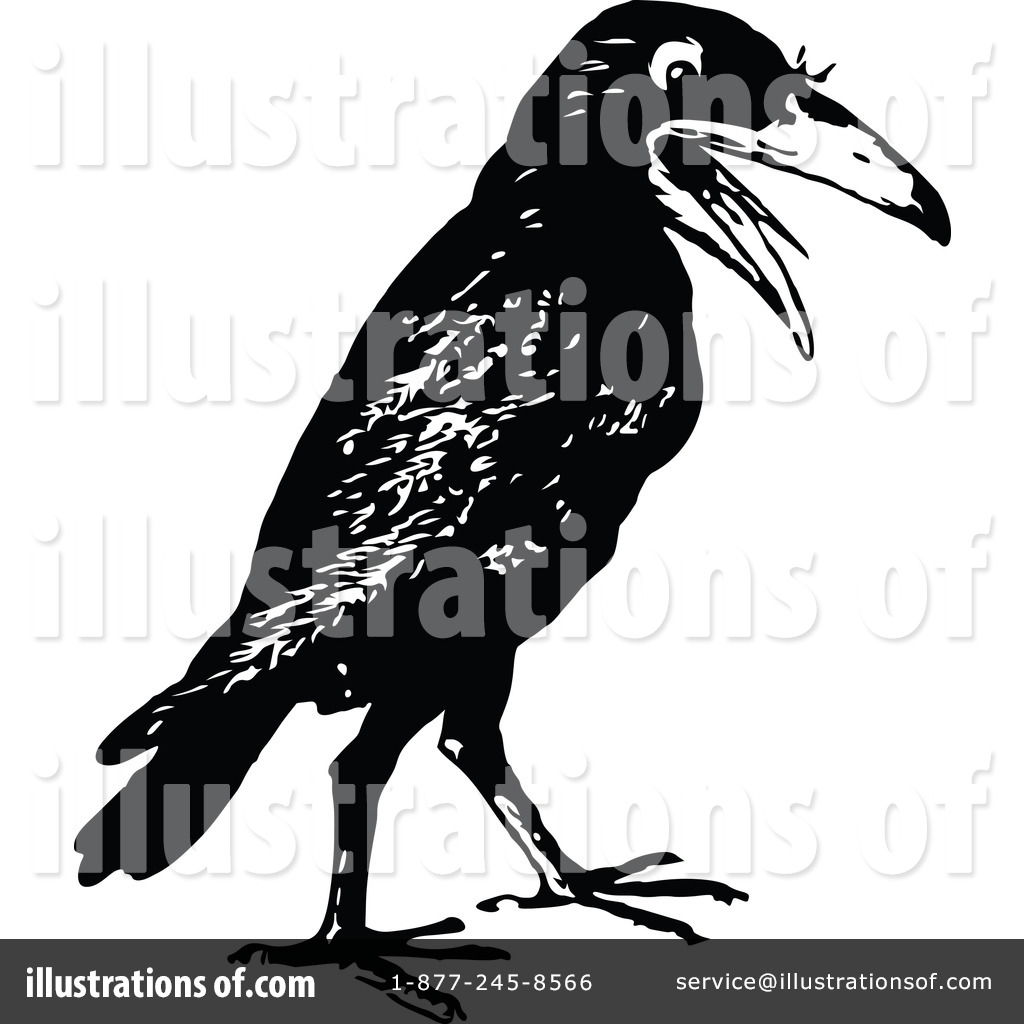 crow clipart illustration