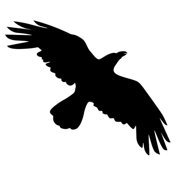 crow clipart in flight