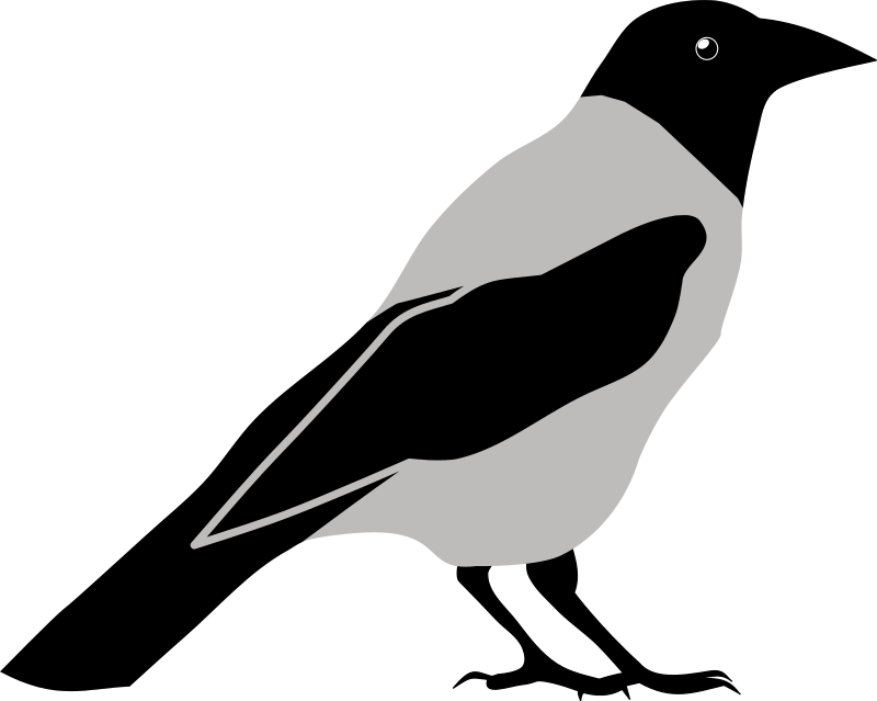 crow clipart jackdaw