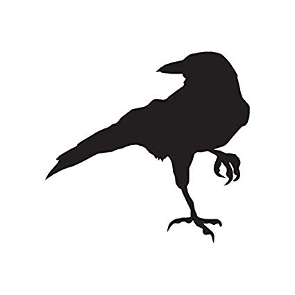 crow clipart jackdaw