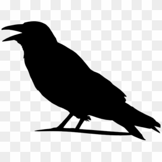 crow clipart one