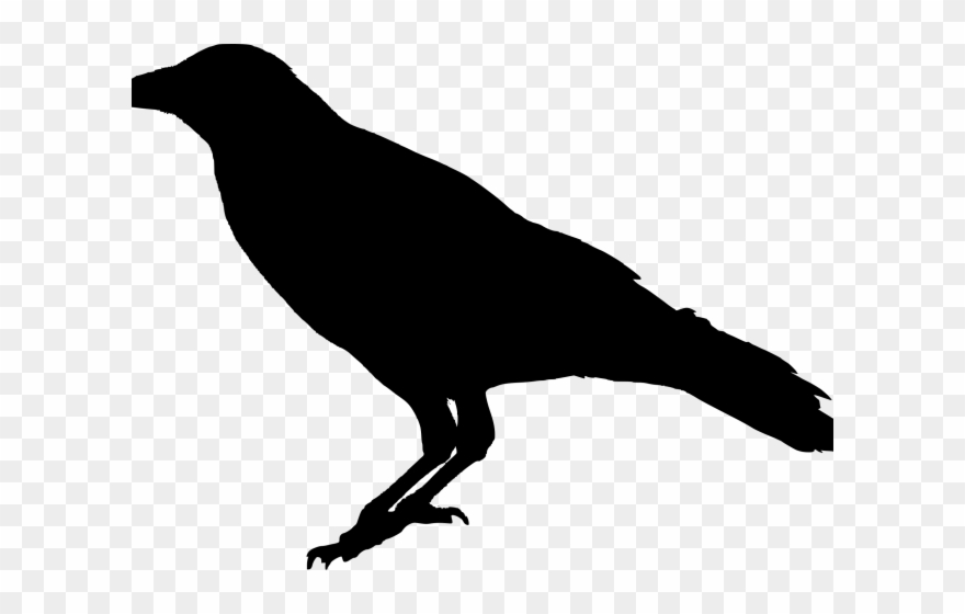 crow clipart poe