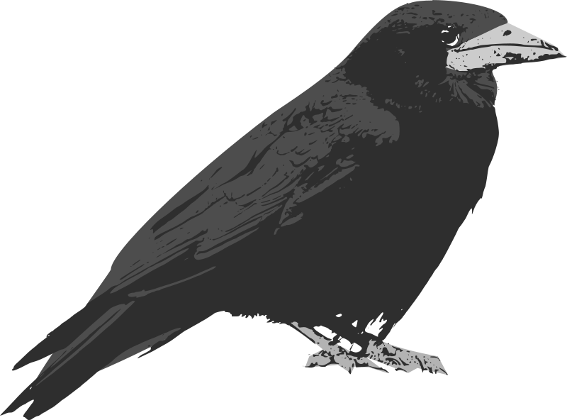 crow clipart poe