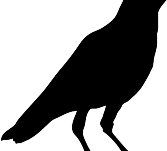 Crow clipart printable. Head black bird png