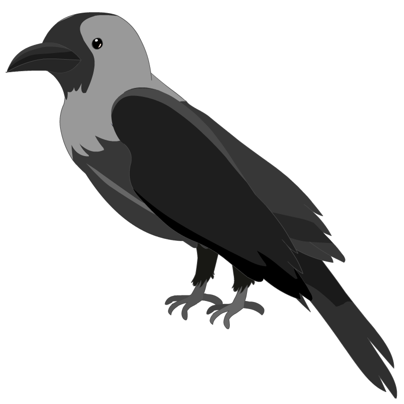 crow clipart raucous