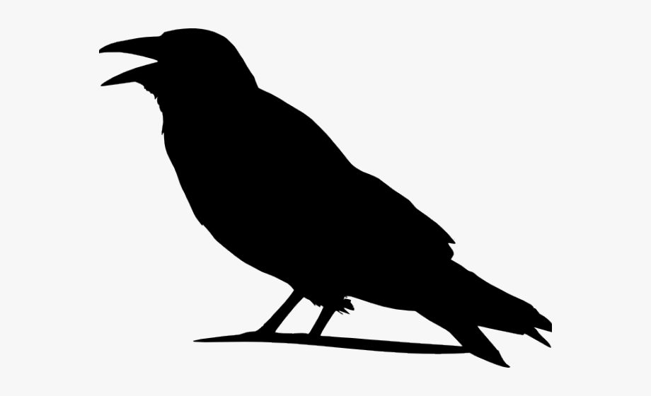 crow clipart raven