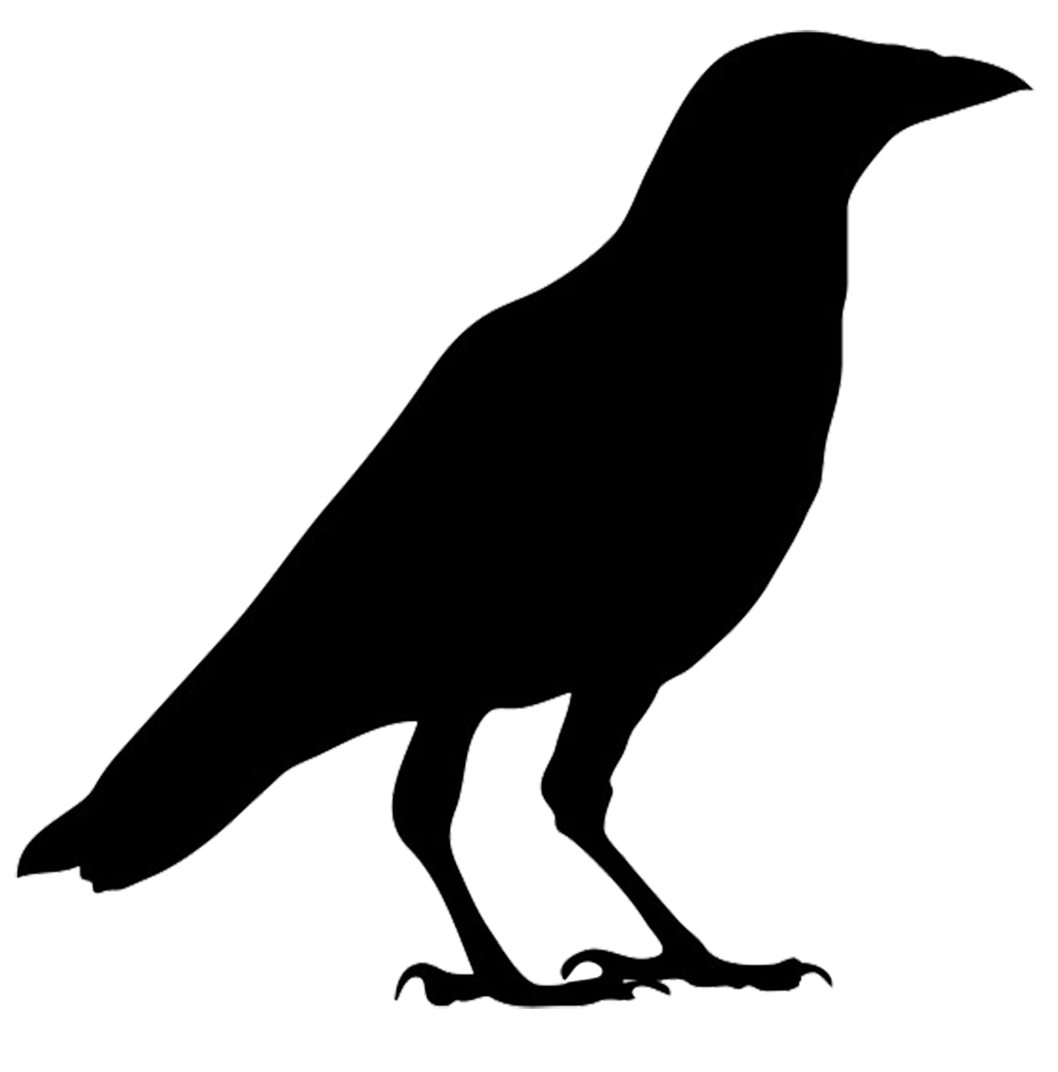  collection of halloween. Pigeon clipart silhouette