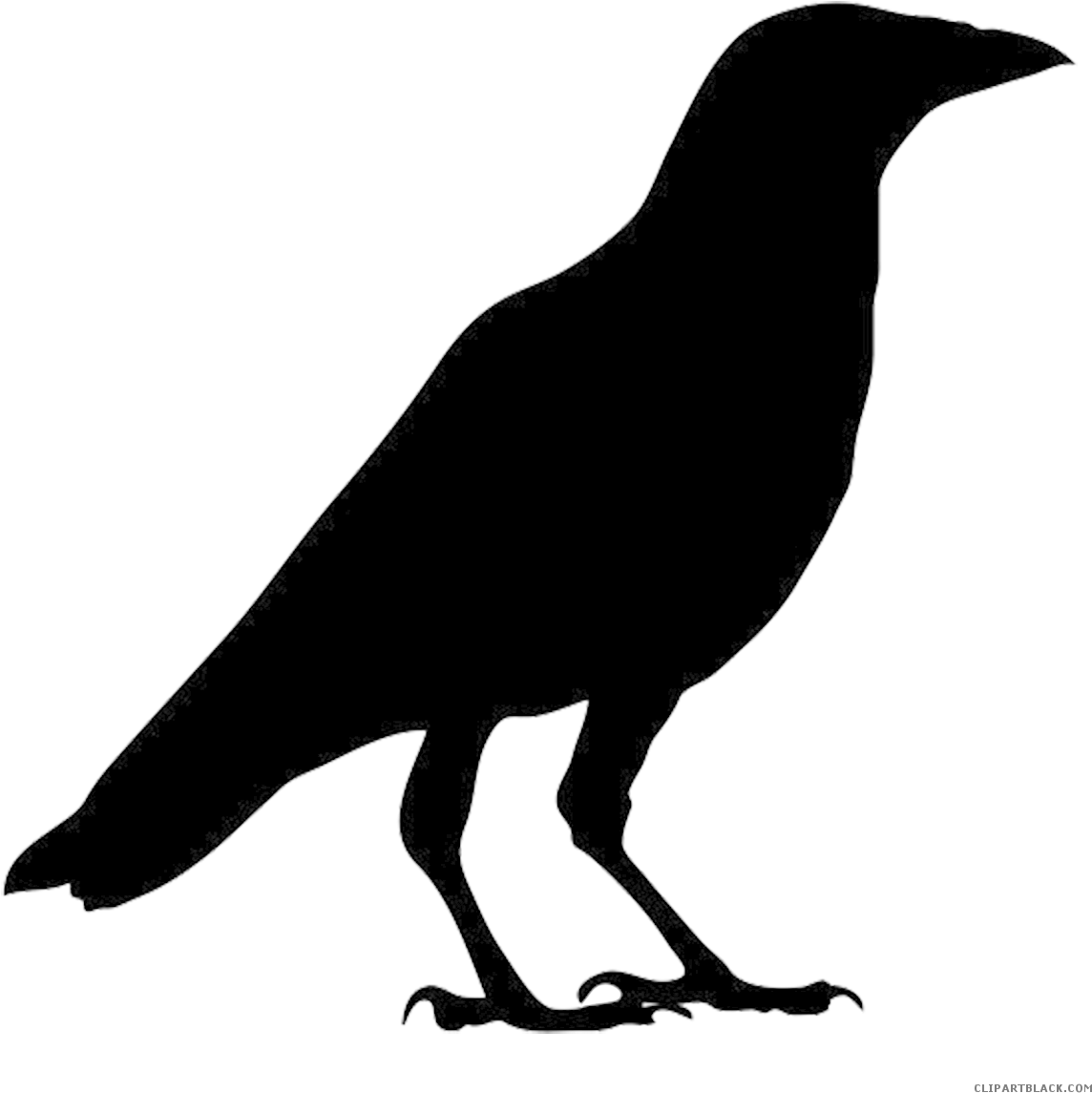 crow clipart shadow