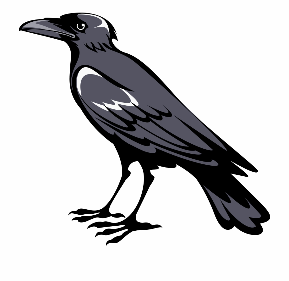 crow clipart side view