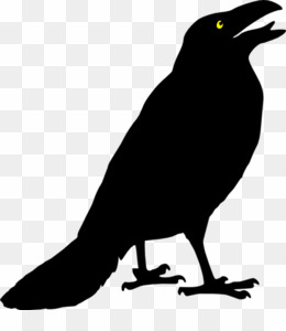 crow clipart small