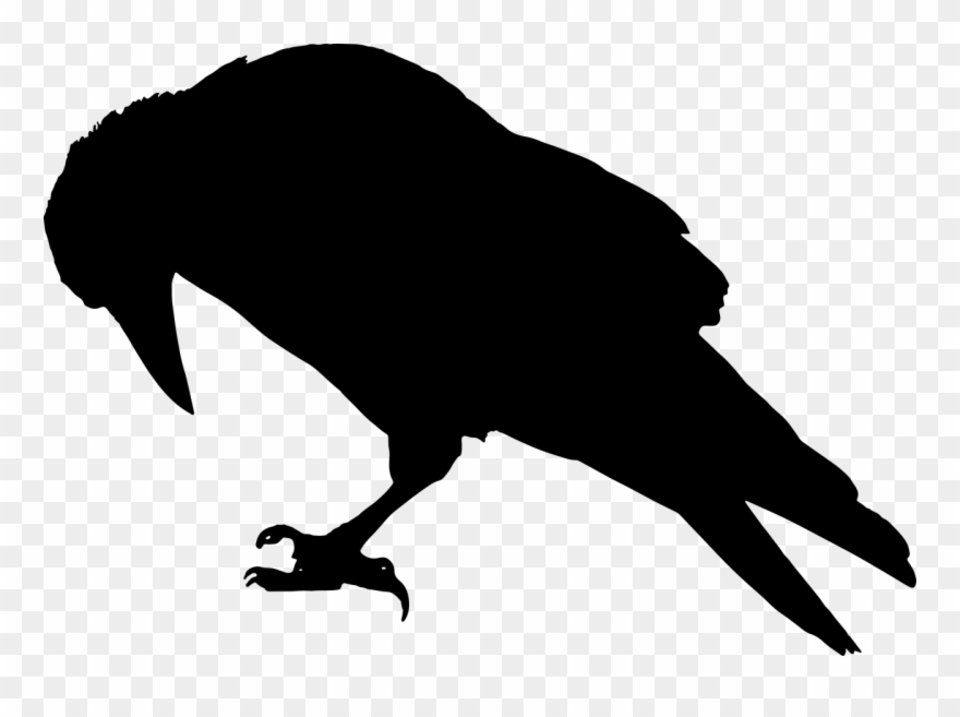Crow clipart stencil, Crow stencil Transparent FREE for download on