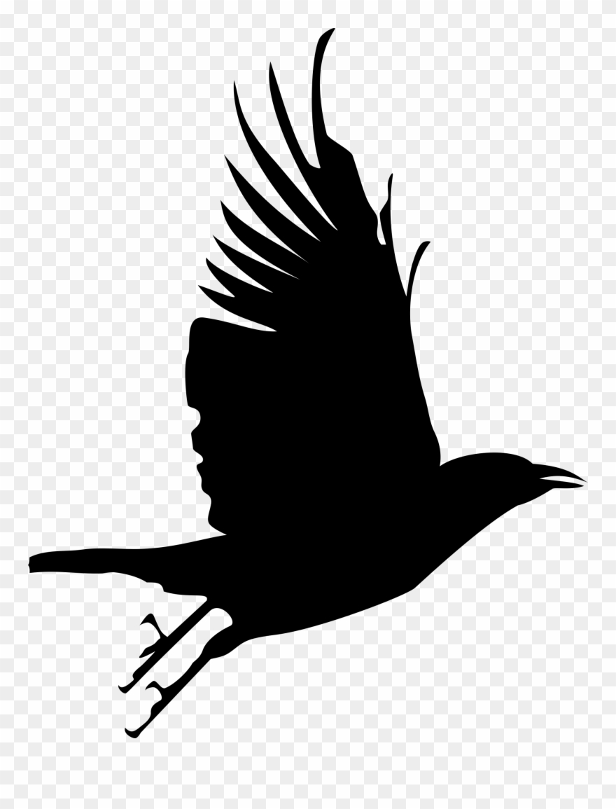 Crow clipart transparent background. Cute raven cliparts 