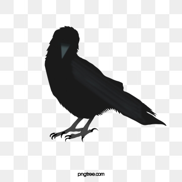 crow clipart vector
