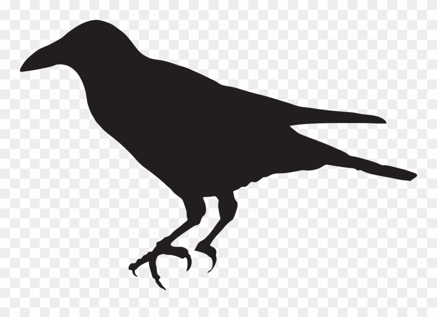 crow clipart wild
