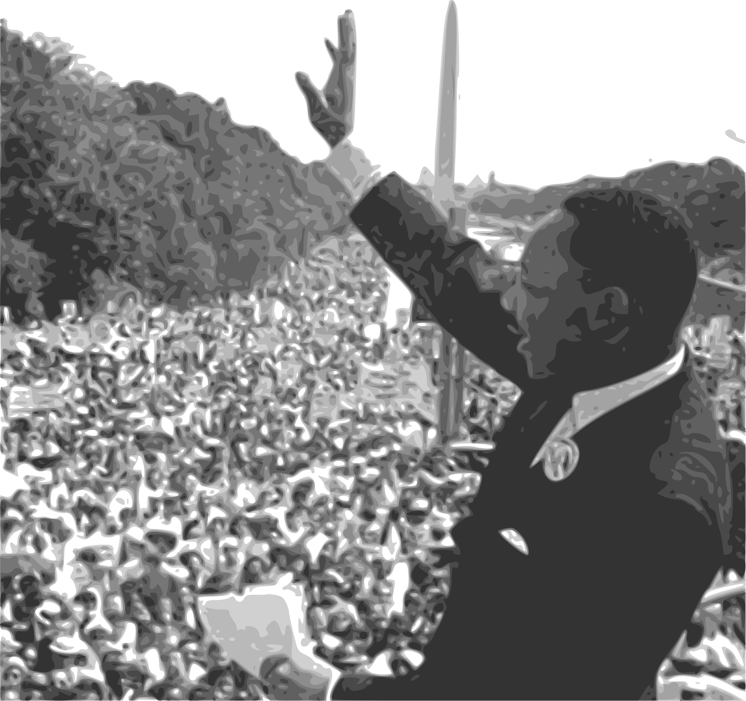 Martin luther king jr. Photographer clipart crowd