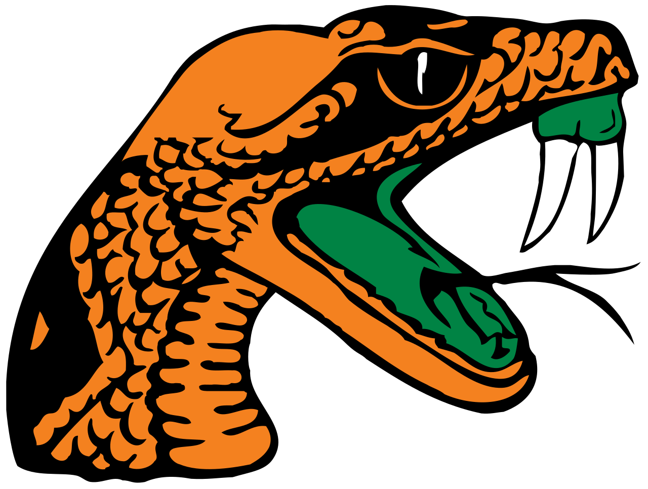 crowd clipart football fan