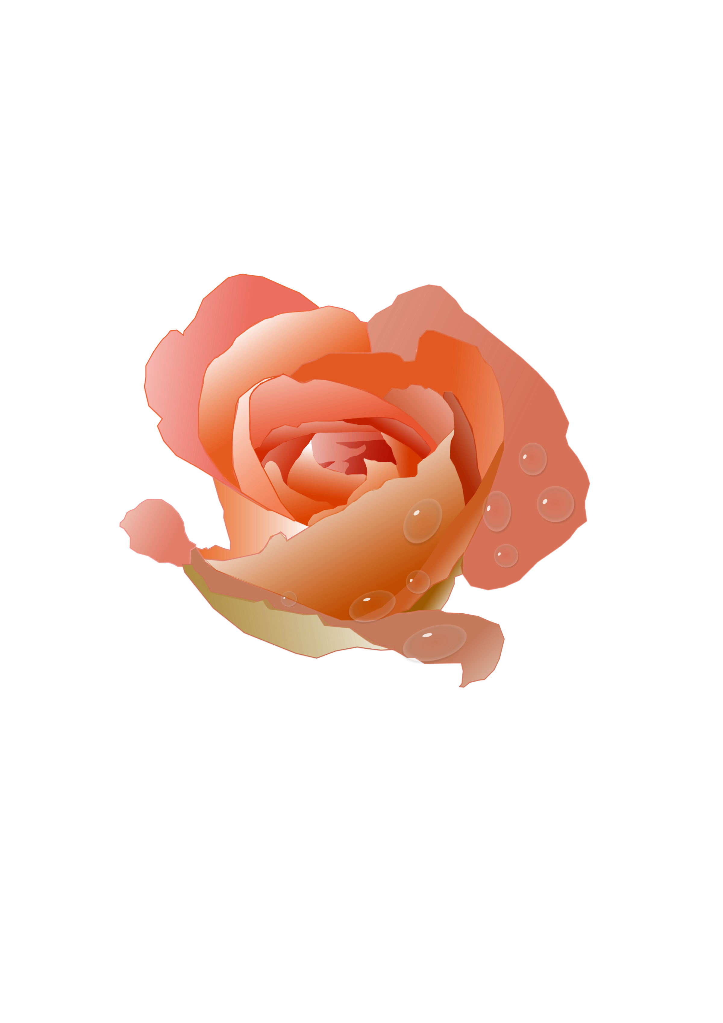 crown clipart roses