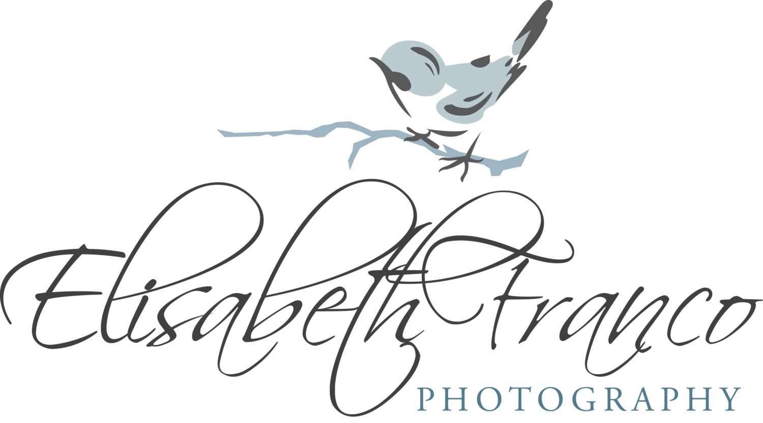 photography clipart lady photographer