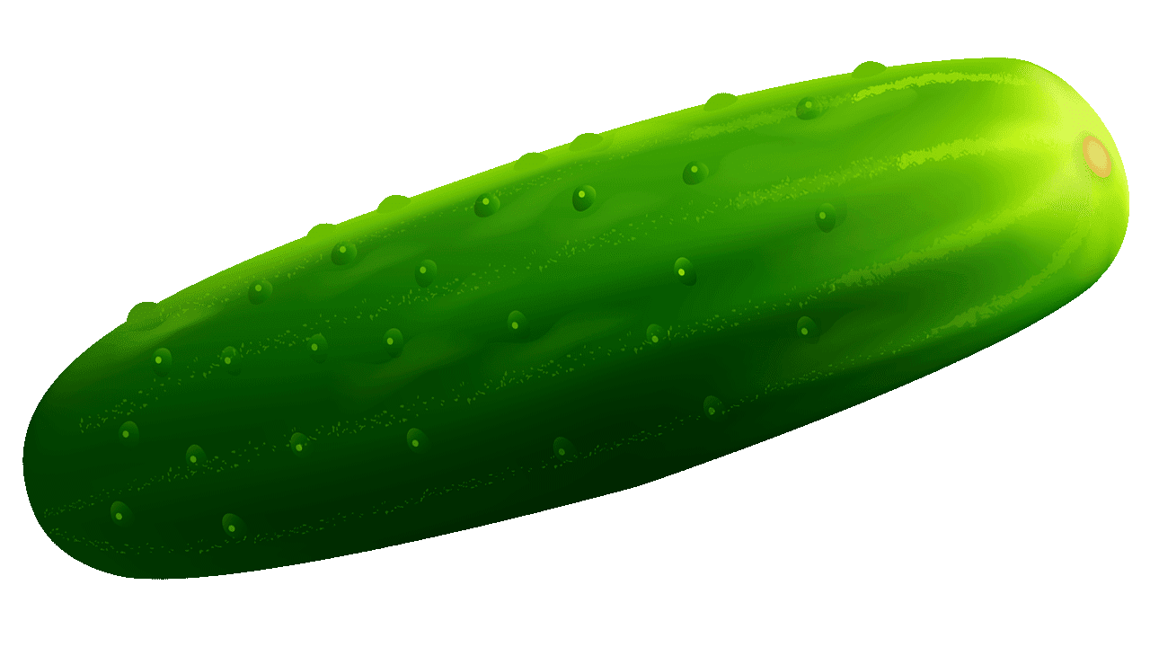 Cucumber clipart. Pickled vegetable melon clip