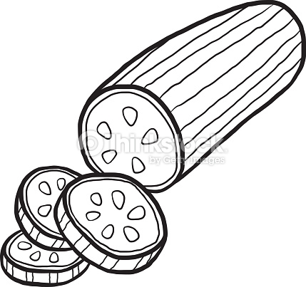 cucumber clipart black and white