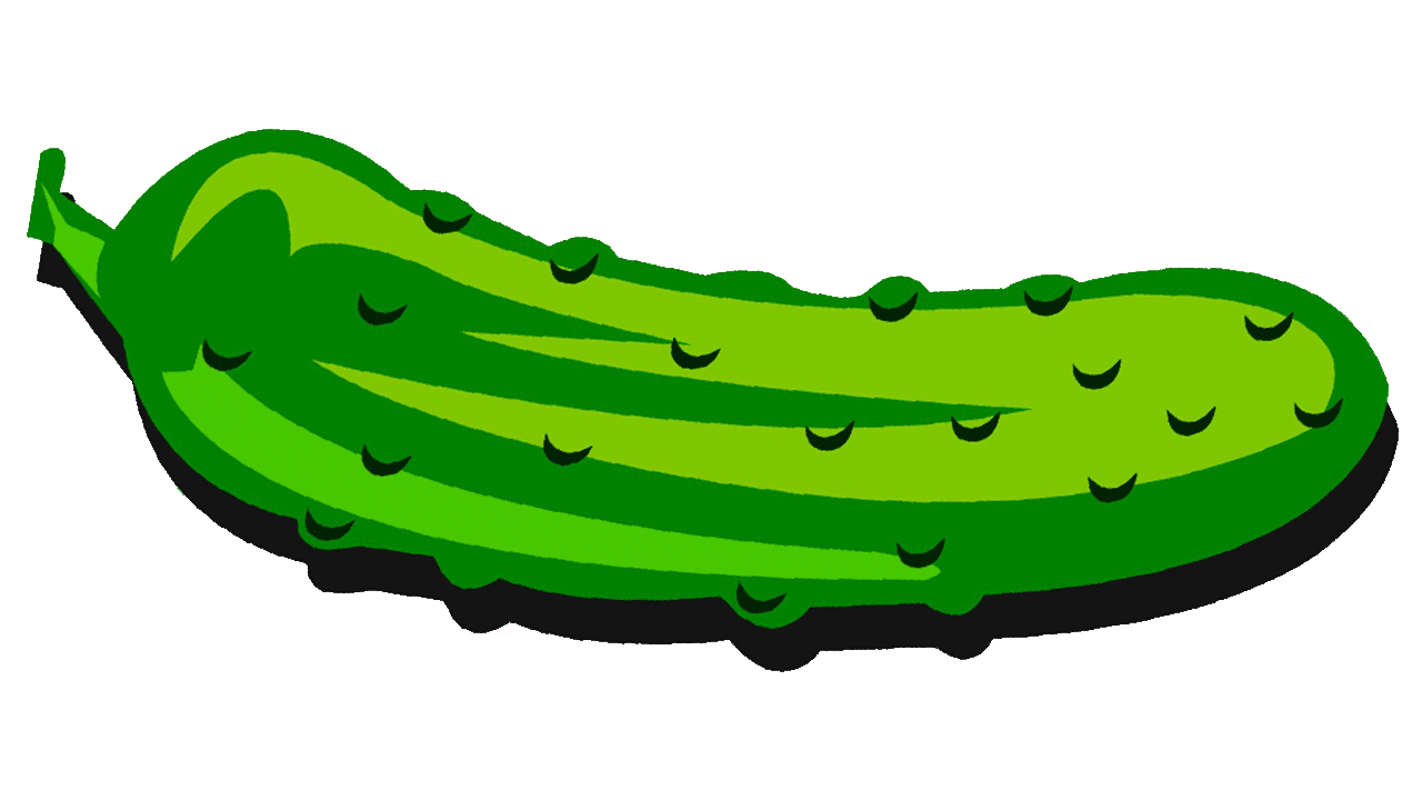 cucumber clipart color