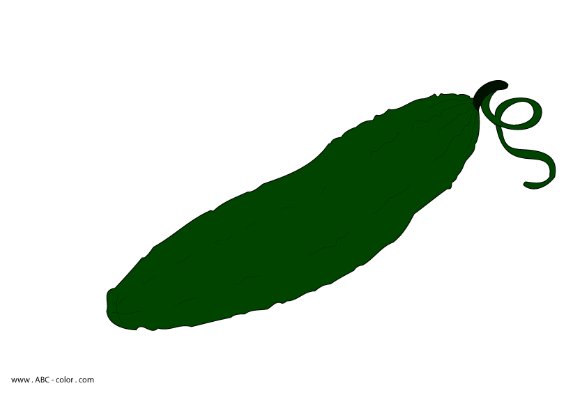 cucumber clipart color