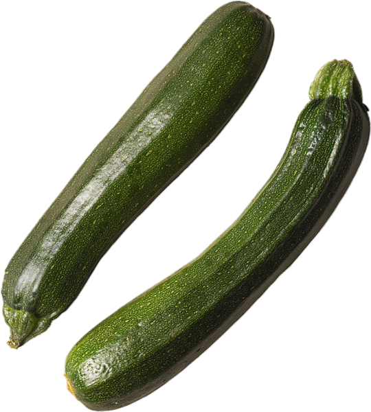 cucumber clipart courgette