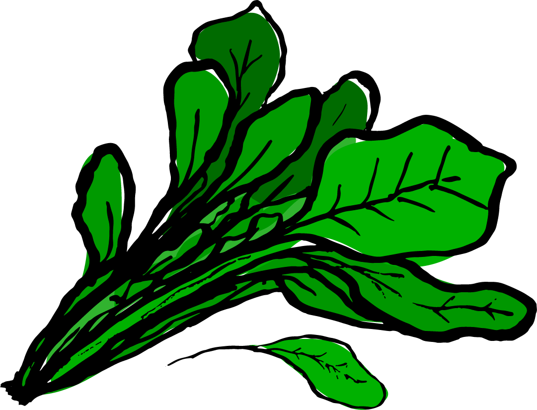 Summer infinity foods spinach. Plumbing clipart drainage system