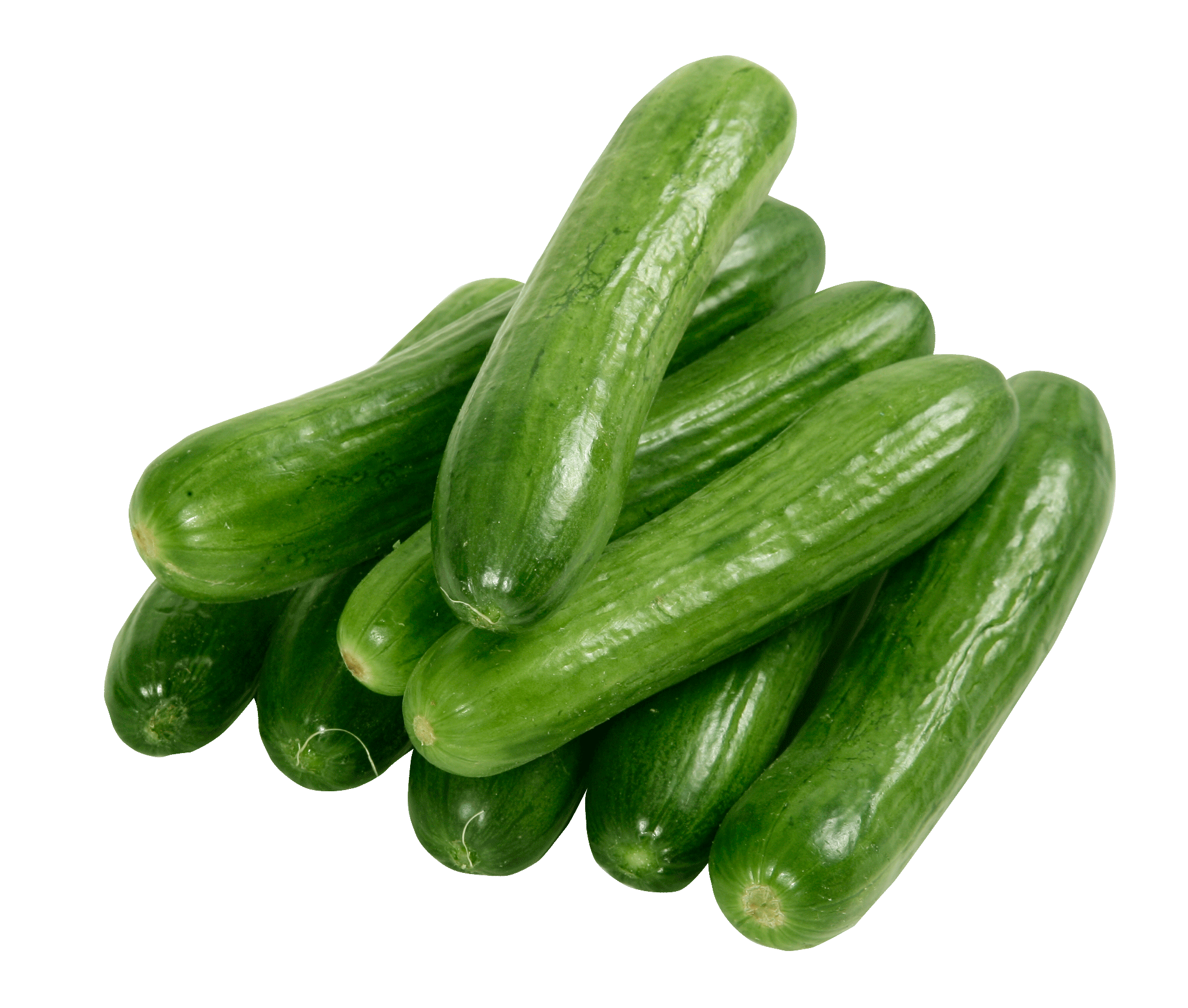 cucumber clipart cucumber salad