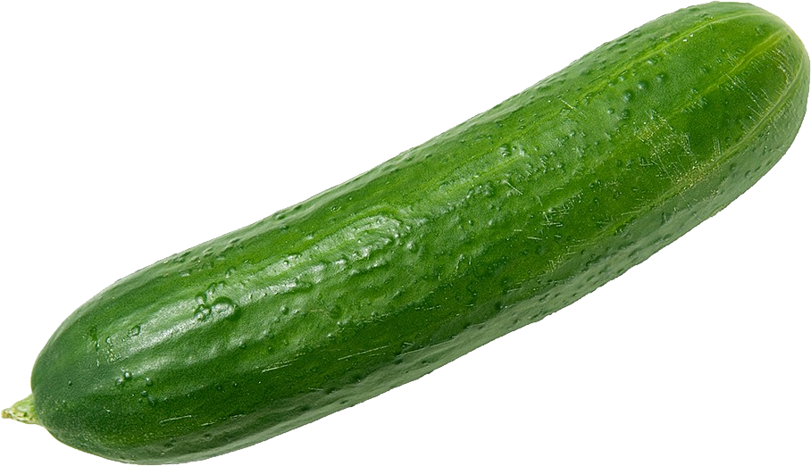 cucumber clipart cucumber salad