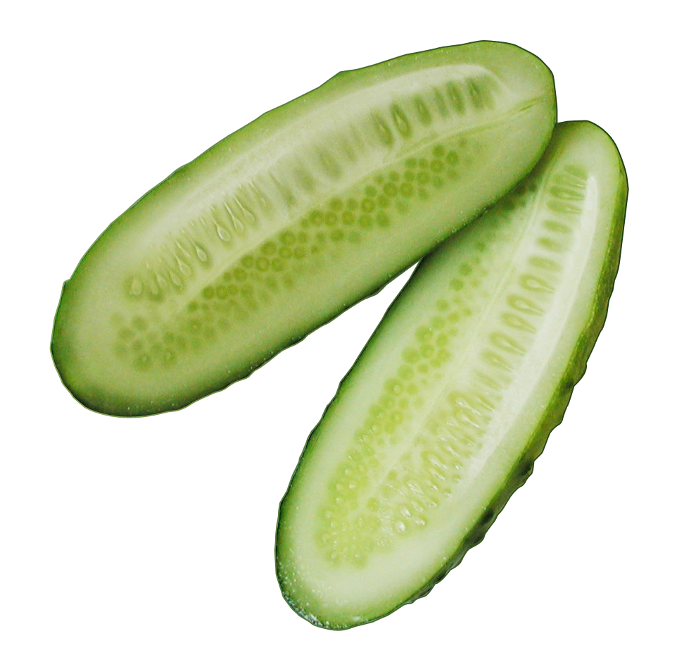 cucumber clipart cucumber slice