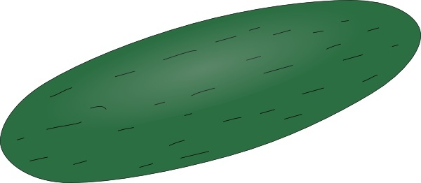 cucumber clipart drawing