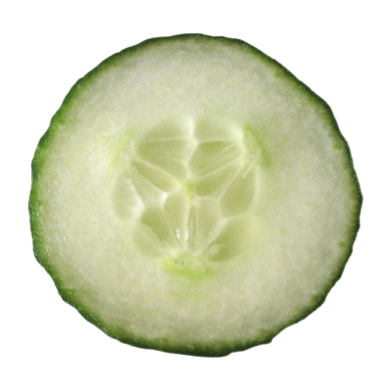 cucumber clipart file