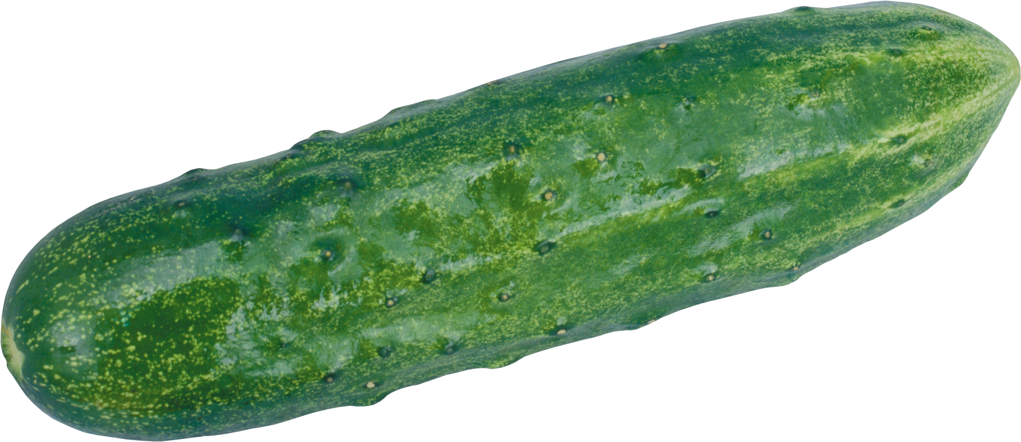 cucumber clipart file