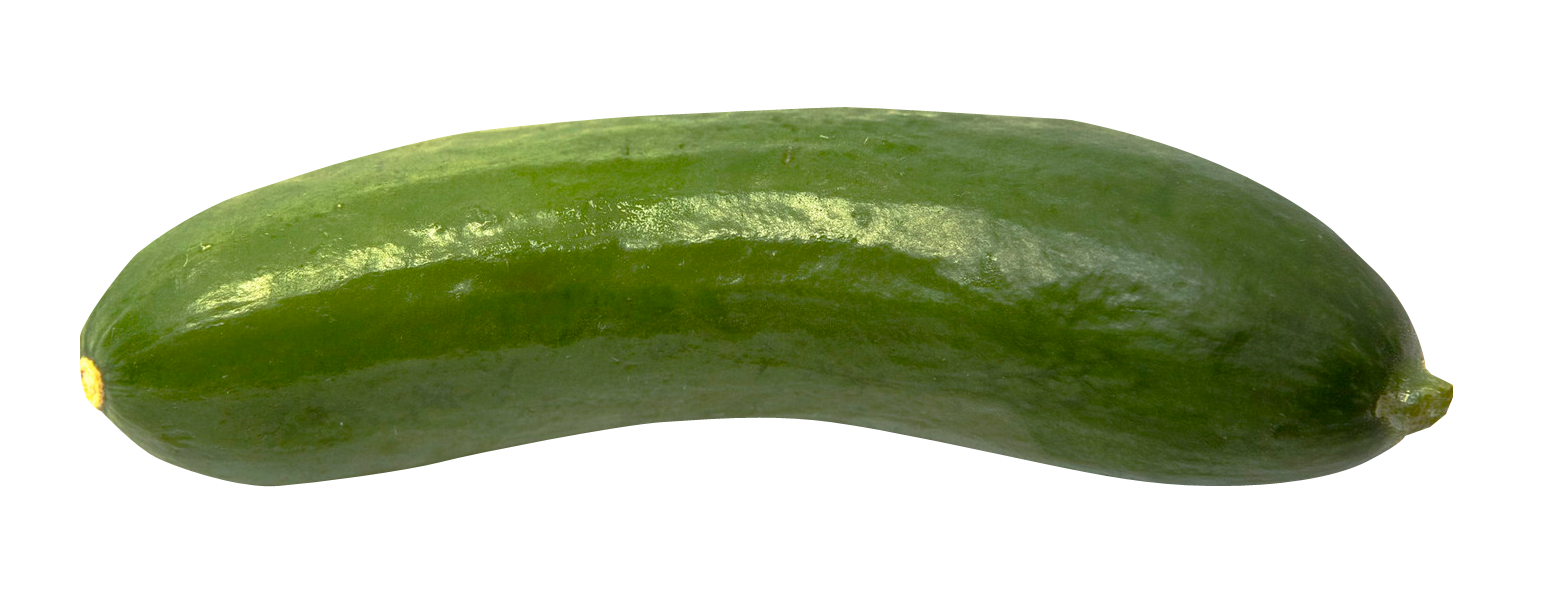 cucumber clipart fresh