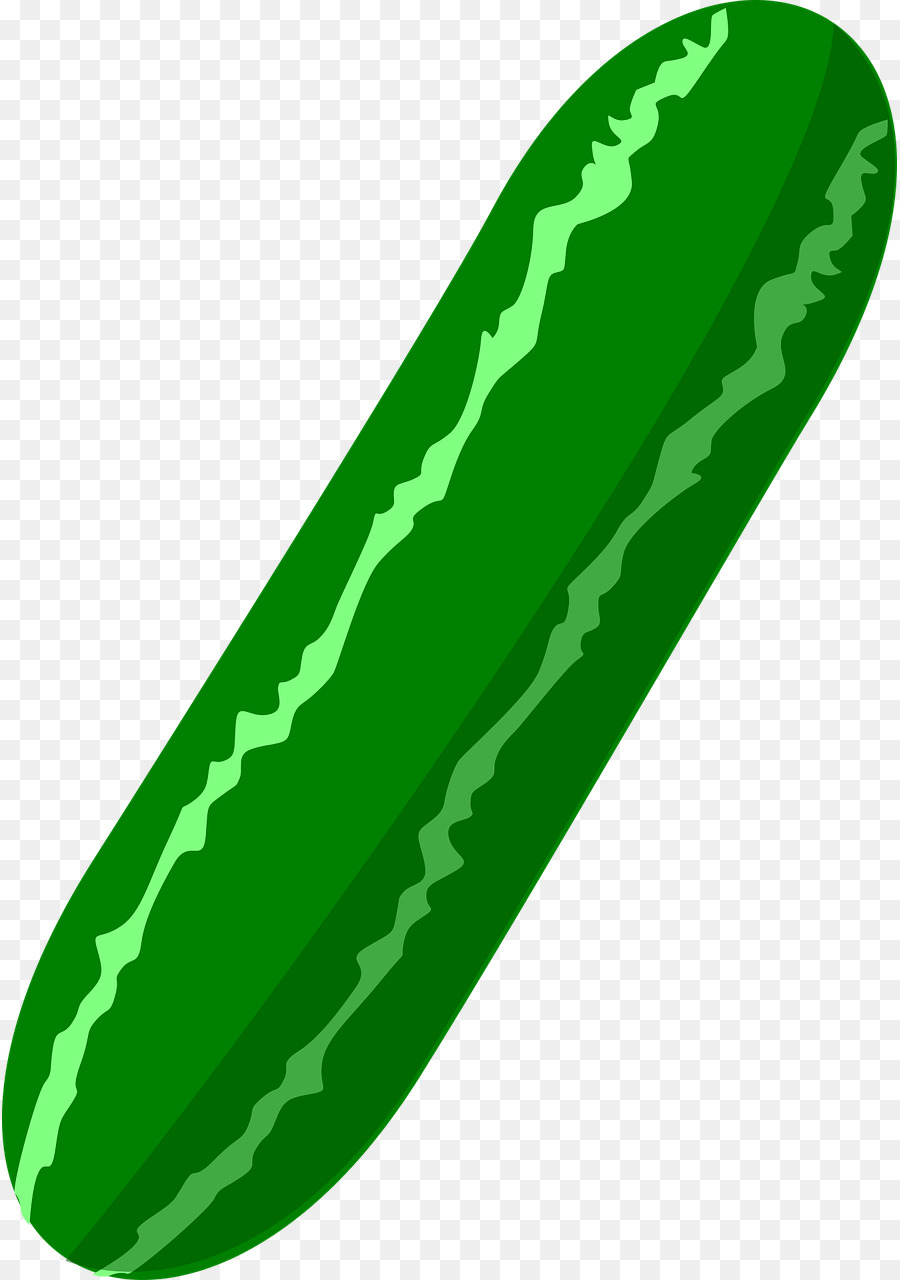 cucumber clipart green