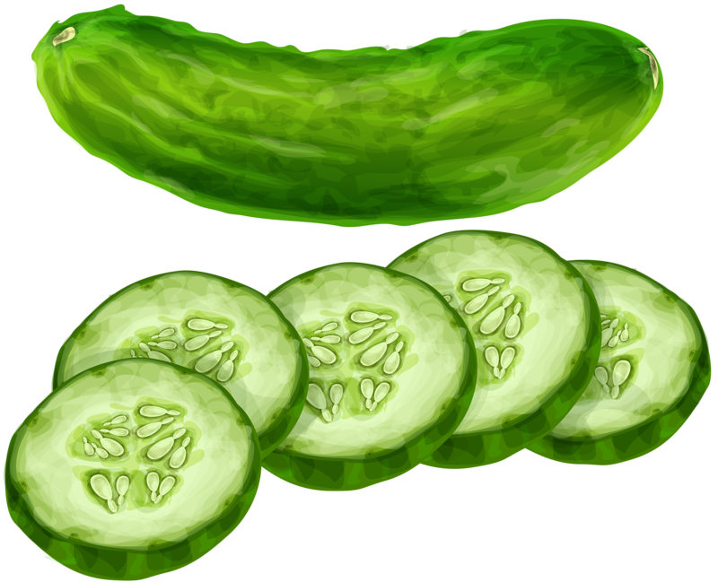 cucumber clipart green