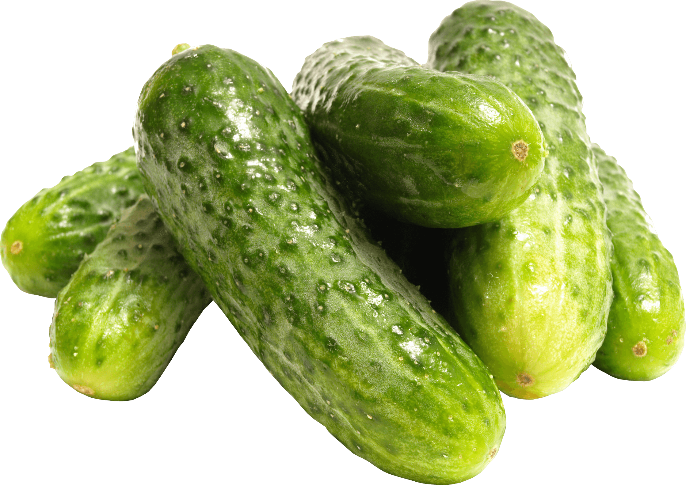 cucumber clipart green food
