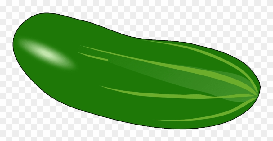 cucumber clipart green fruit vegetable