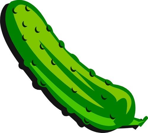 cucumber clipart one