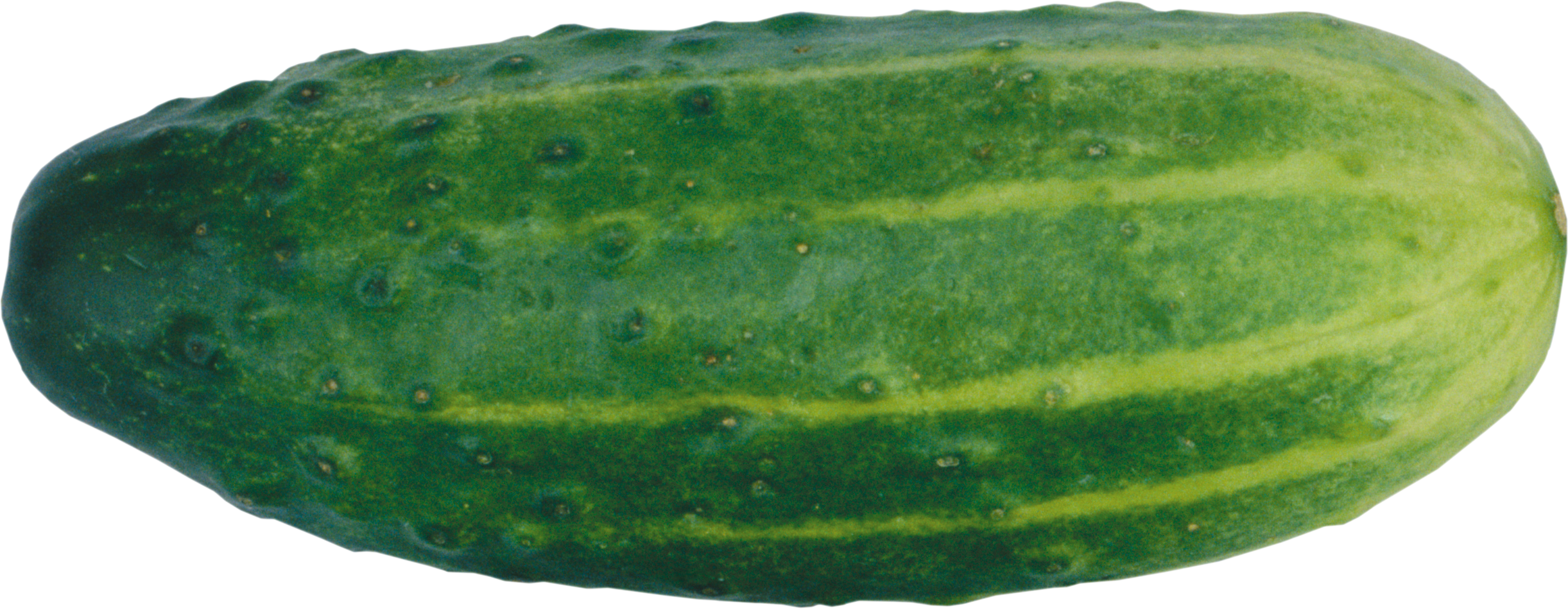Seven isolated stock photo. Cucumber clipart outline