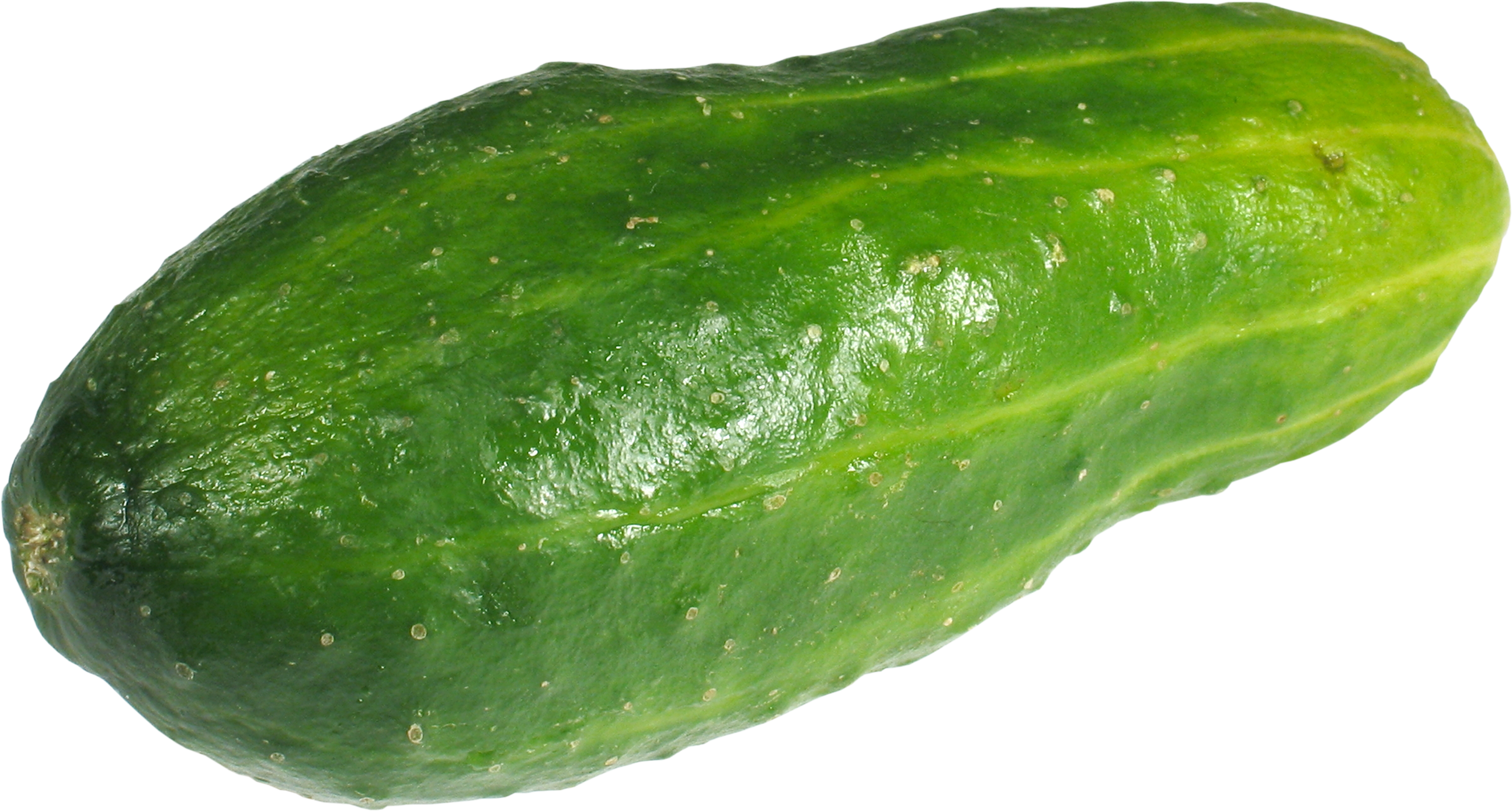 cucumber clipart outline